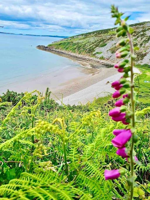 Apartmán The Mermaids Watch Pendine Dog Friendly Exteriér fotografie